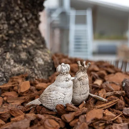 Landglueck 1 Langenhorn