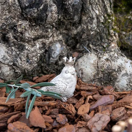 Landglueck 1 Apartament